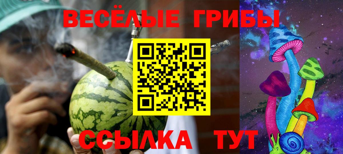 Узловая  Псилоцибиновые грибы прущие грибы  Вход с VPN 